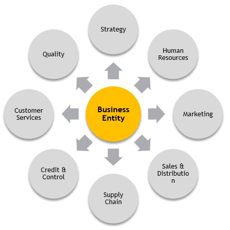 cfo_services